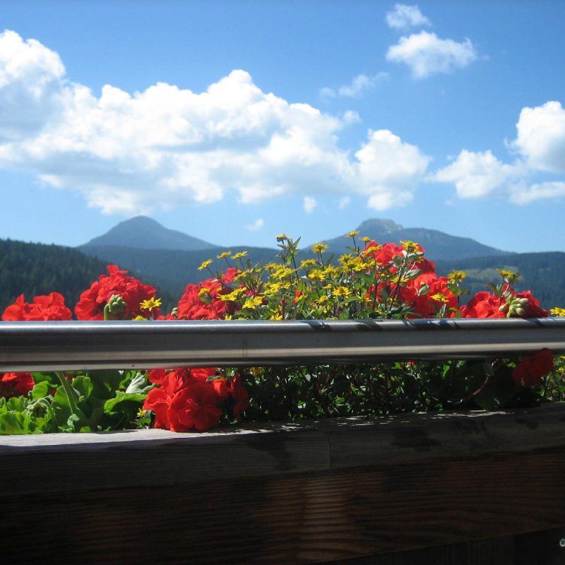 stuppner Ausblick Süd stuppner Ausblick Süd