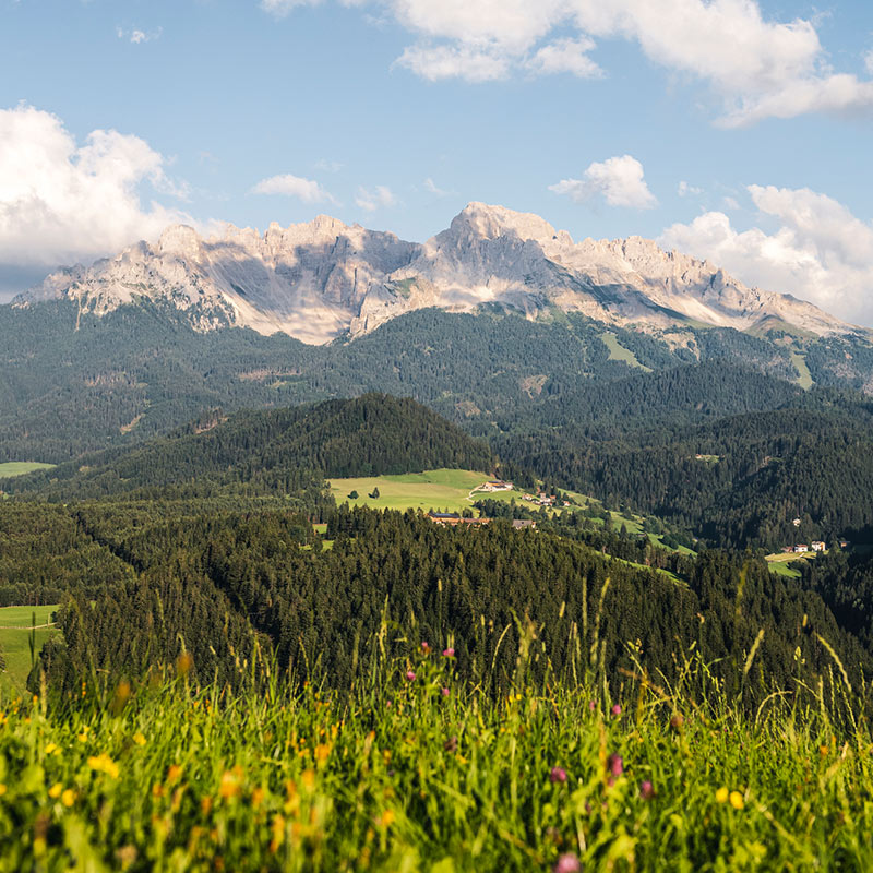 stuppner sommerurlaub eggental dolomiten wanderurlaub latemar rosengarten 1 2