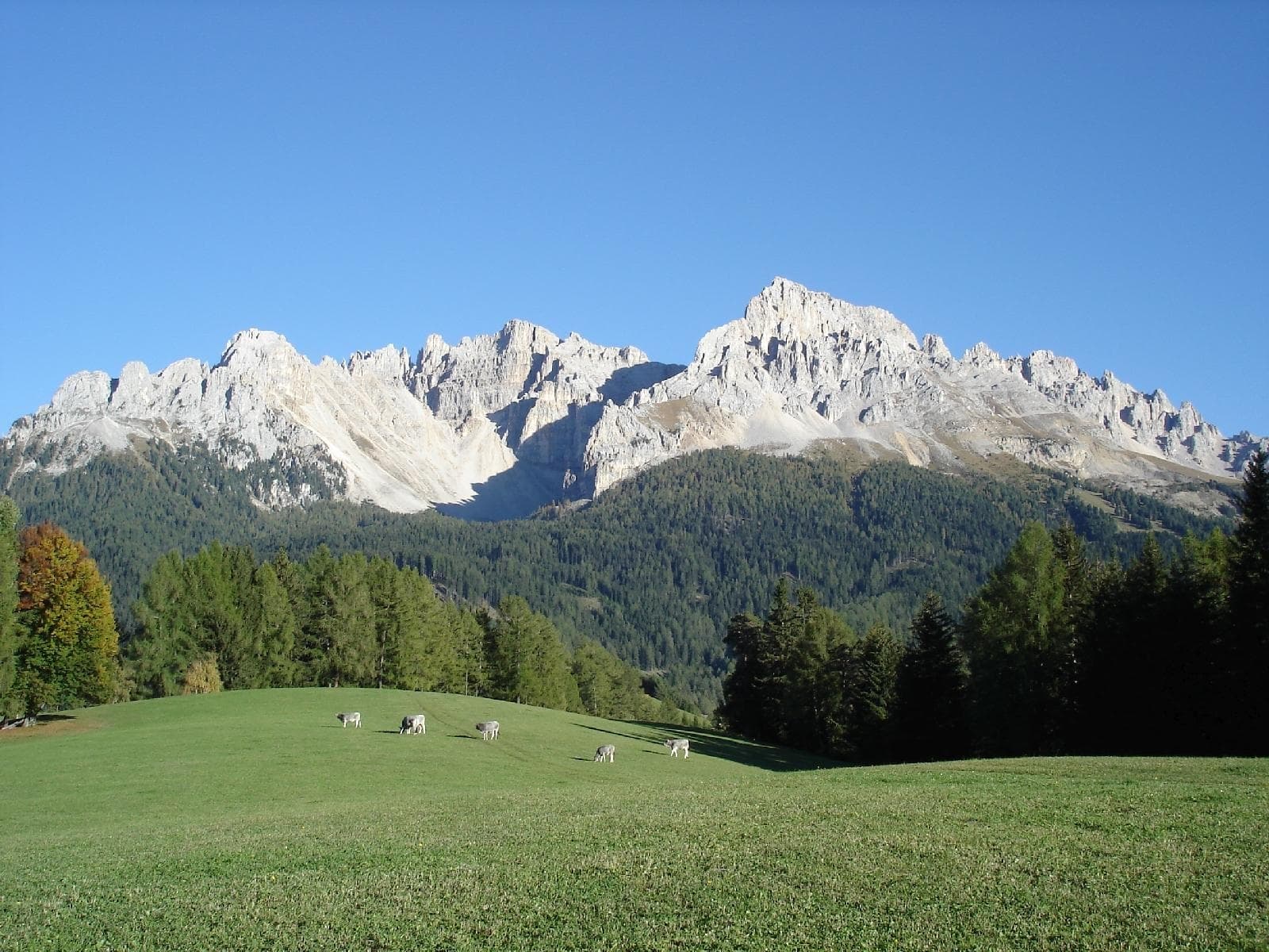 stuppner Stuppnerhof Südtirol Bauernhof in Obereggen im Eggental (103) stuppner Stuppnerhof Südtirol Bauernhof in Obereggen im Eggental (103)