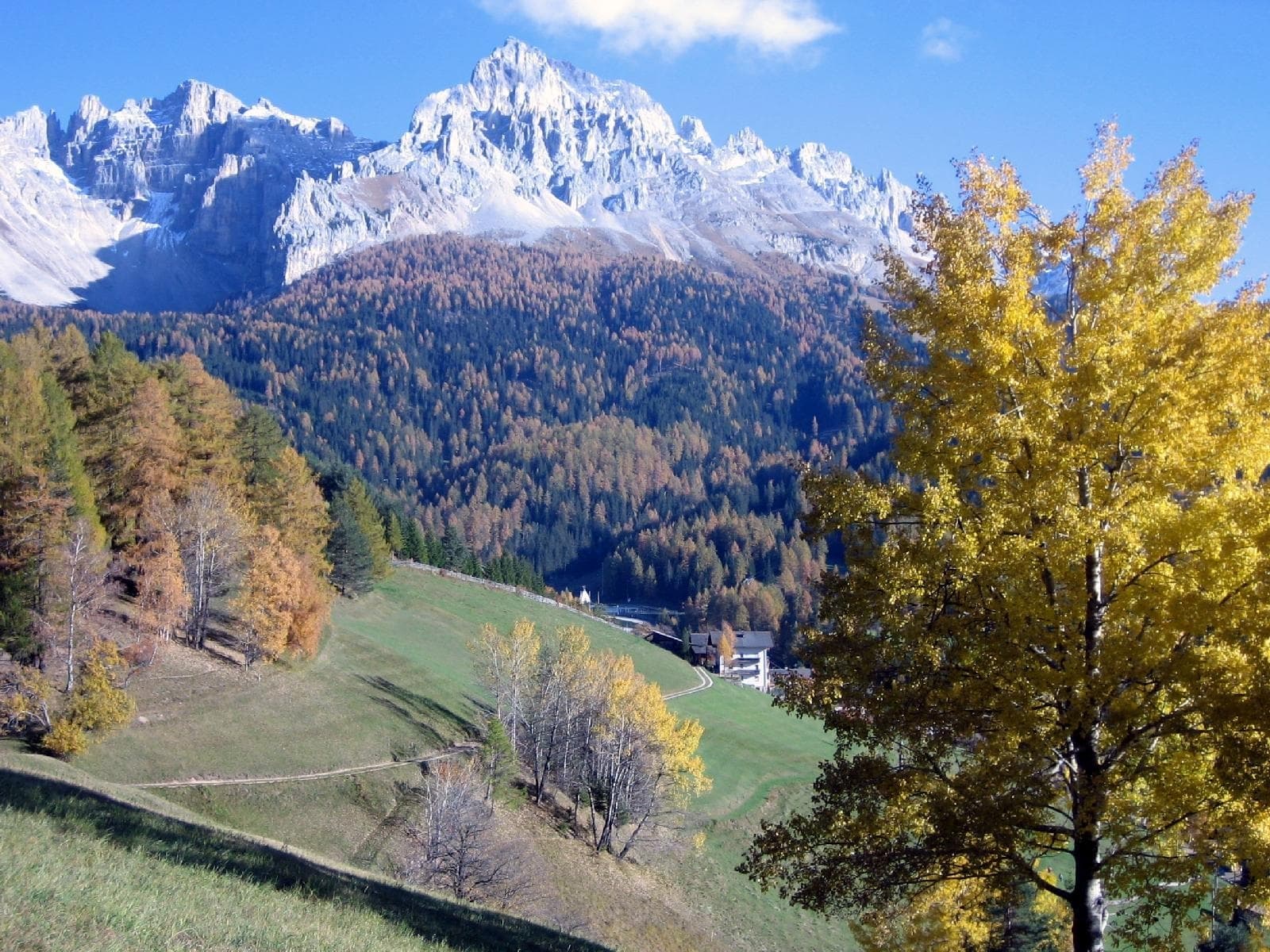 stuppner Stuppnerhof Südtirol Bauernhof in Obereggen im Eggental (12) stuppner Stuppnerhof Südtirol Bauernhof in Obereggen im Eggental (12)