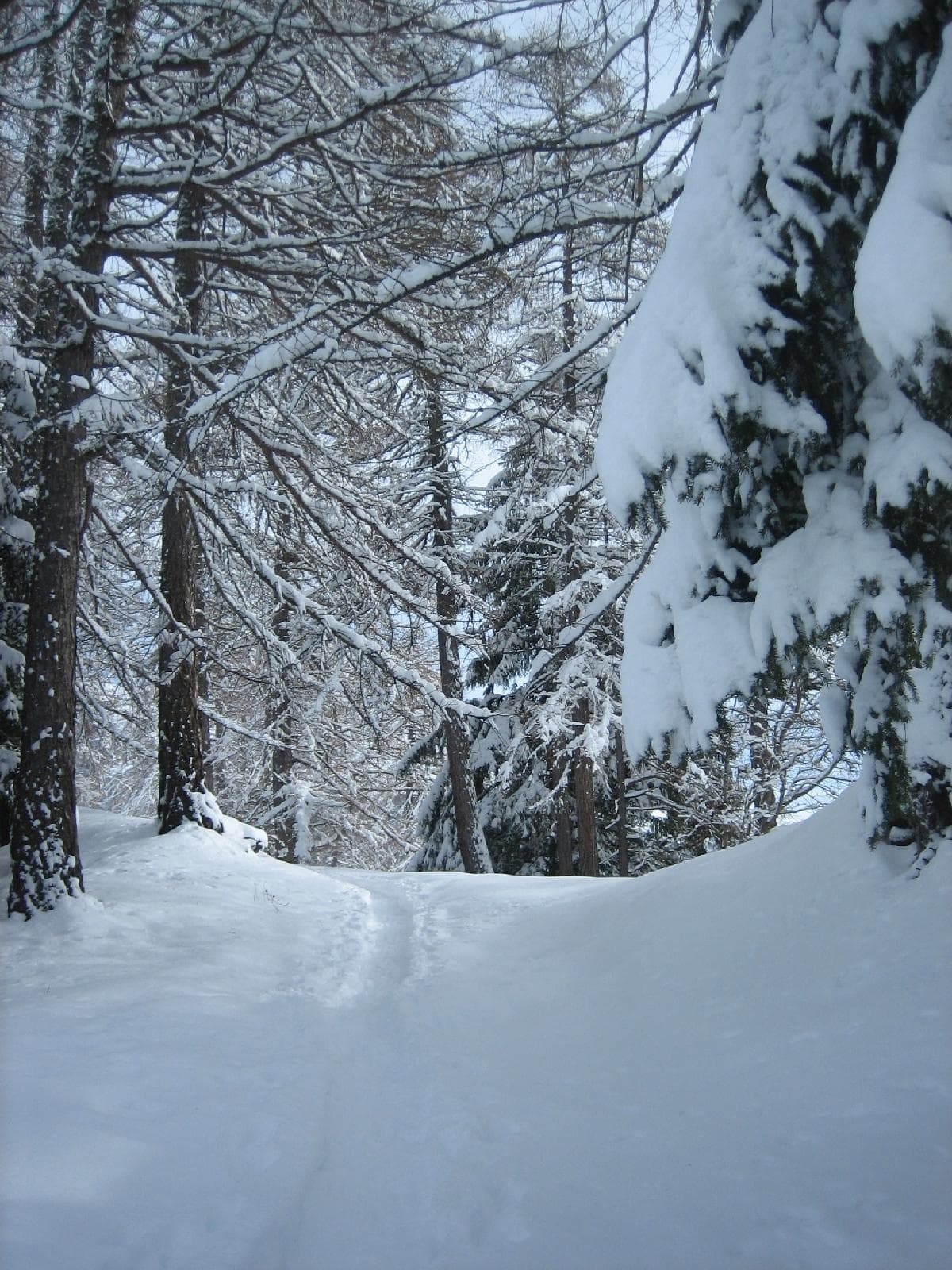 stuppner Stuppnerhof Südtirol Bauernhof in Obereggen im Eggental (21) stuppner Stuppnerhof Südtirol Bauernhof in Obereggen im Eggental (21)