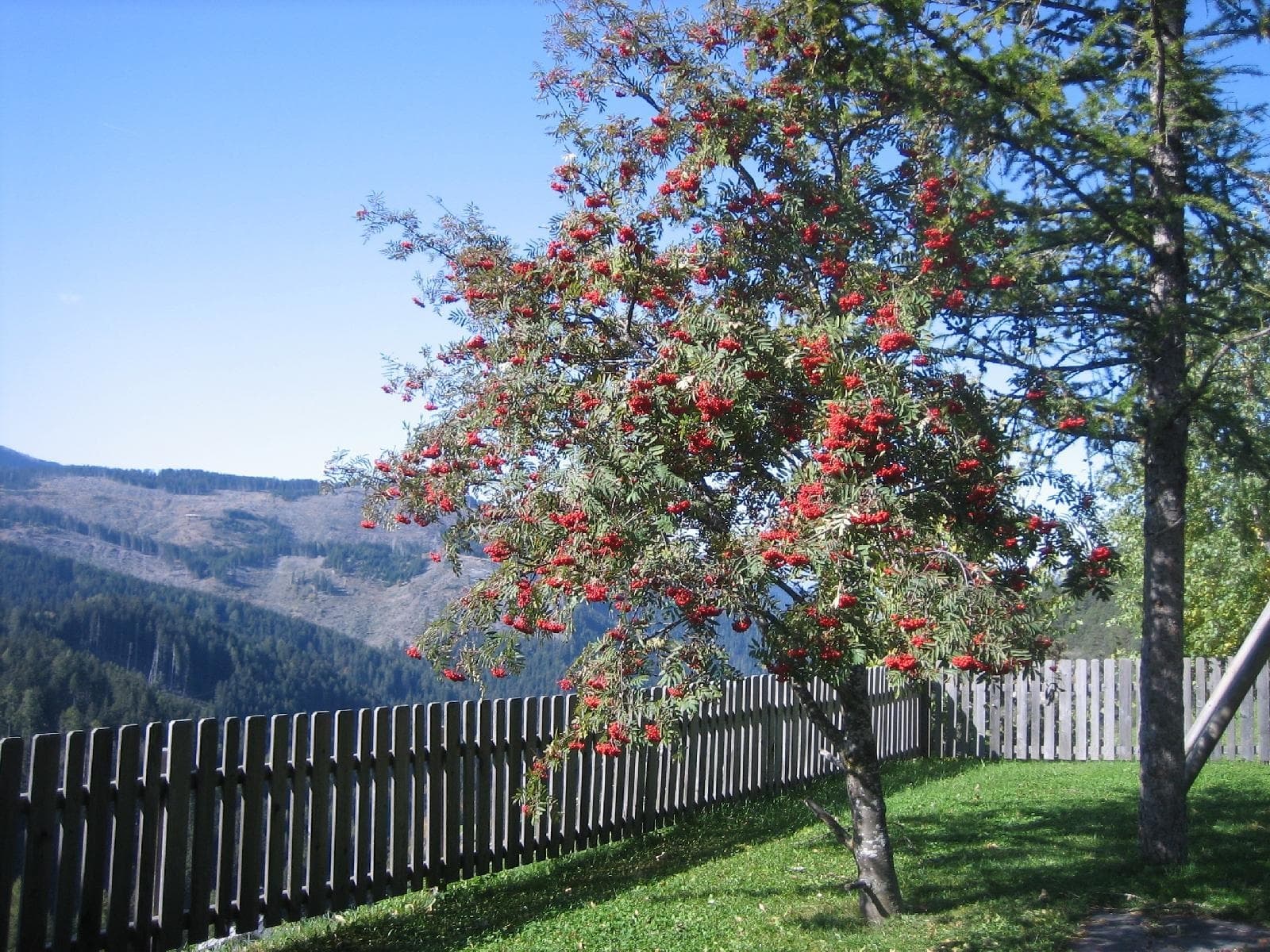 stuppner Stuppnerhof Südtirol Bauernhof in Obereggen im Eggental (33) stuppner Stuppnerhof Südtirol Bauernhof in Obereggen im Eggental (33)