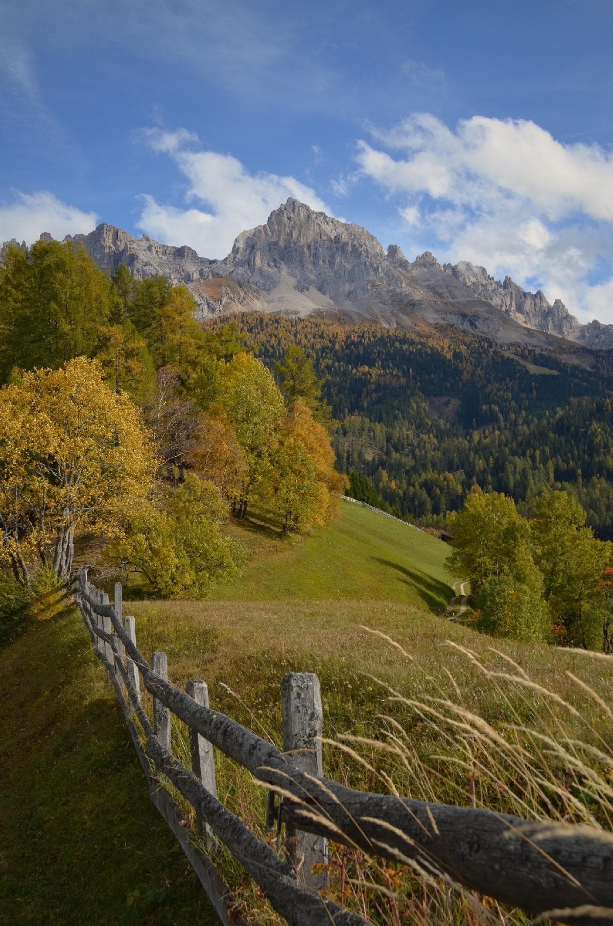 stuppner Stuppnerhof Südtirol Bauernhof in Obereggen im Eggental (55) stuppner Stuppnerhof Südtirol Bauernhof in Obereggen im Eggental (55)