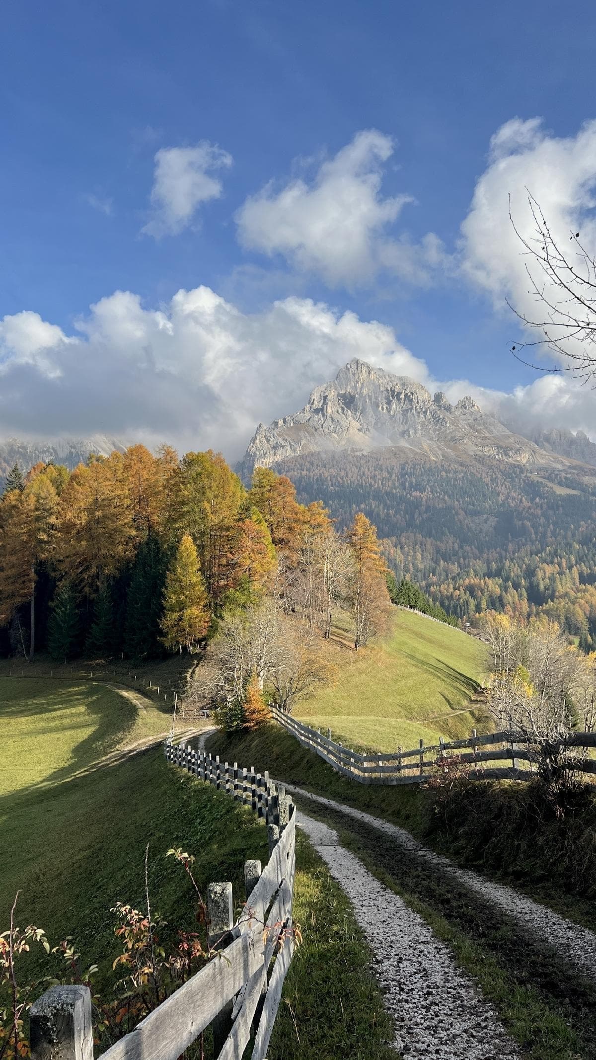 stuppner Stuppnerhof Südtirol Bauernhof in Obereggen im Eggental (60) stuppner Stuppnerhof Südtirol Bauernhof in Obereggen im Eggental (60)