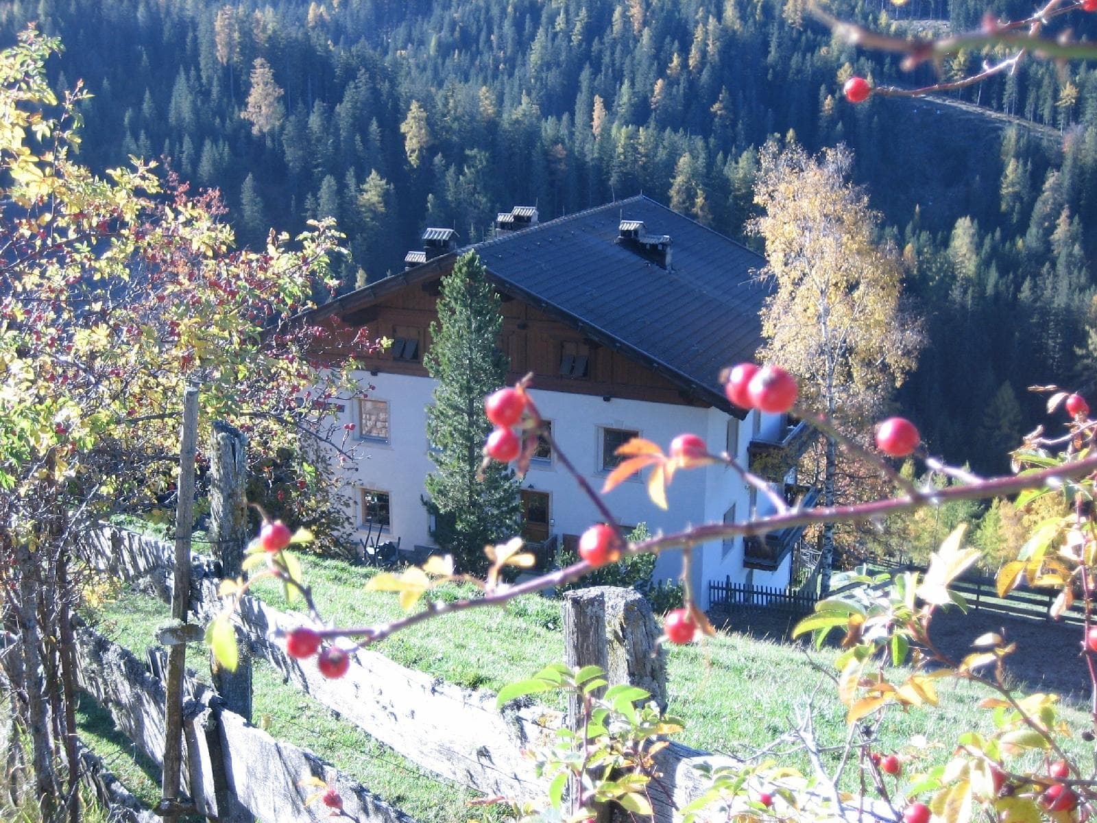 stuppner Stuppnerhof Südtirol Bauernhof in Obereggen im Eggental (8) stuppner Stuppnerhof Südtirol Bauernhof in Obereggen im Eggental (8)