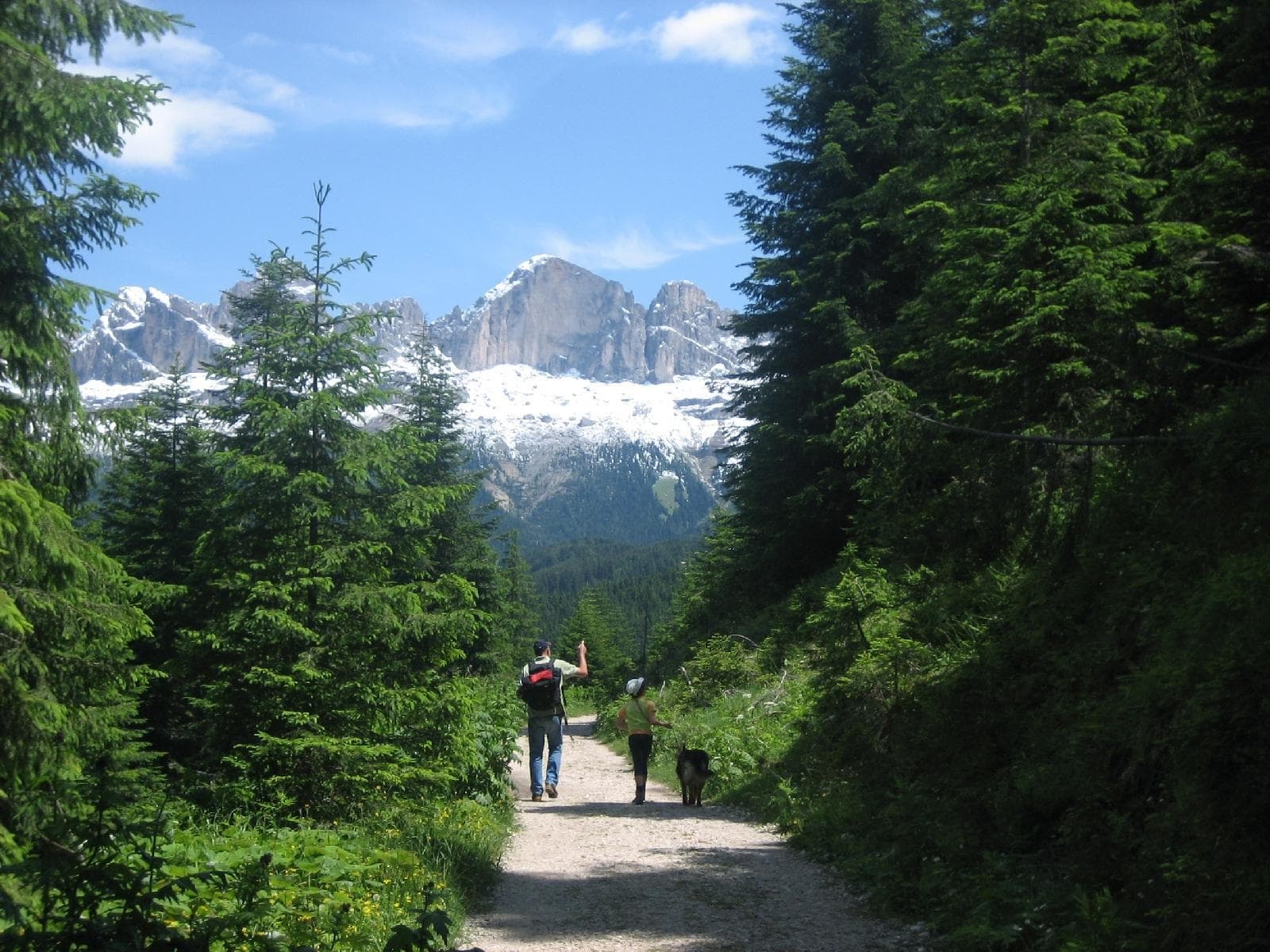 stuppner Stuppnerhof Südtirol Bauernhof in Obereggen im Eggental (80) stuppner Stuppnerhof Südtirol Bauernhof in Obereggen im Eggental (80)