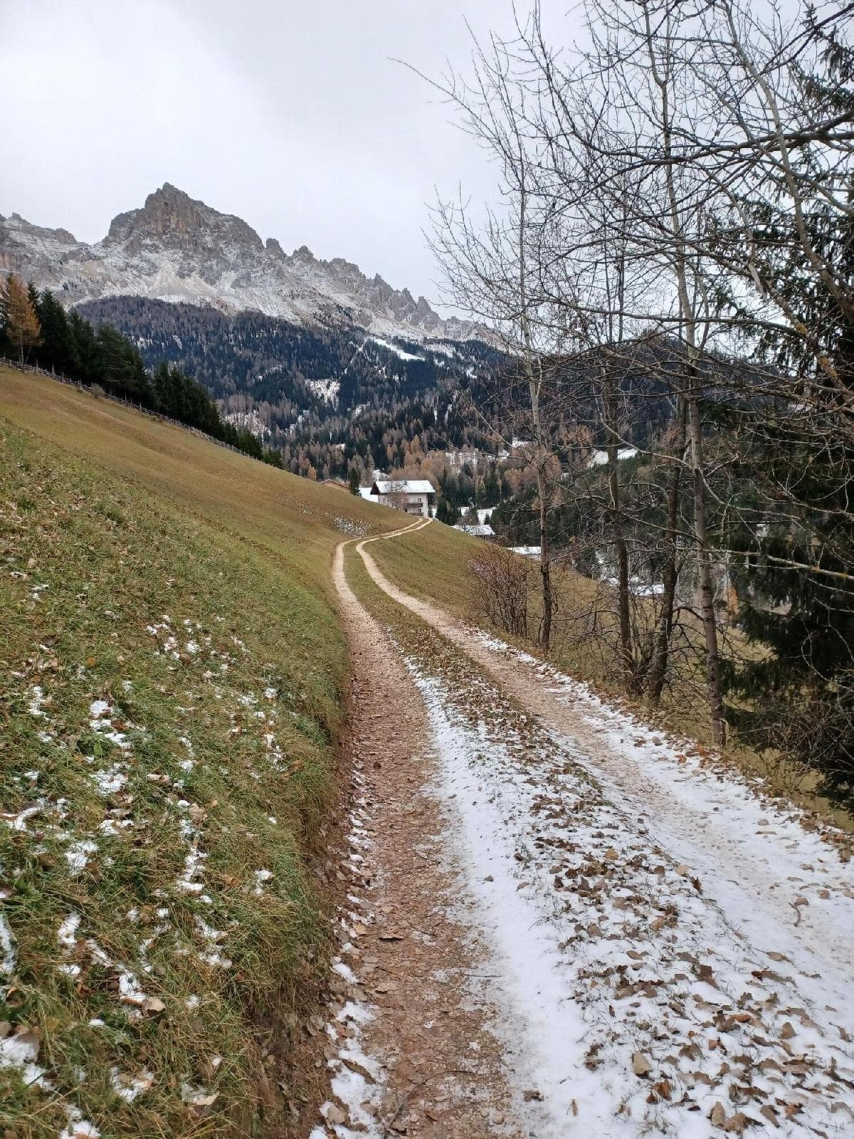 stuppner Stuppnerhof Südtirol Bauernhof in Obereggen im Eggental (88) stuppner Stuppnerhof Südtirol Bauernhof in Obereggen im Eggental (88)