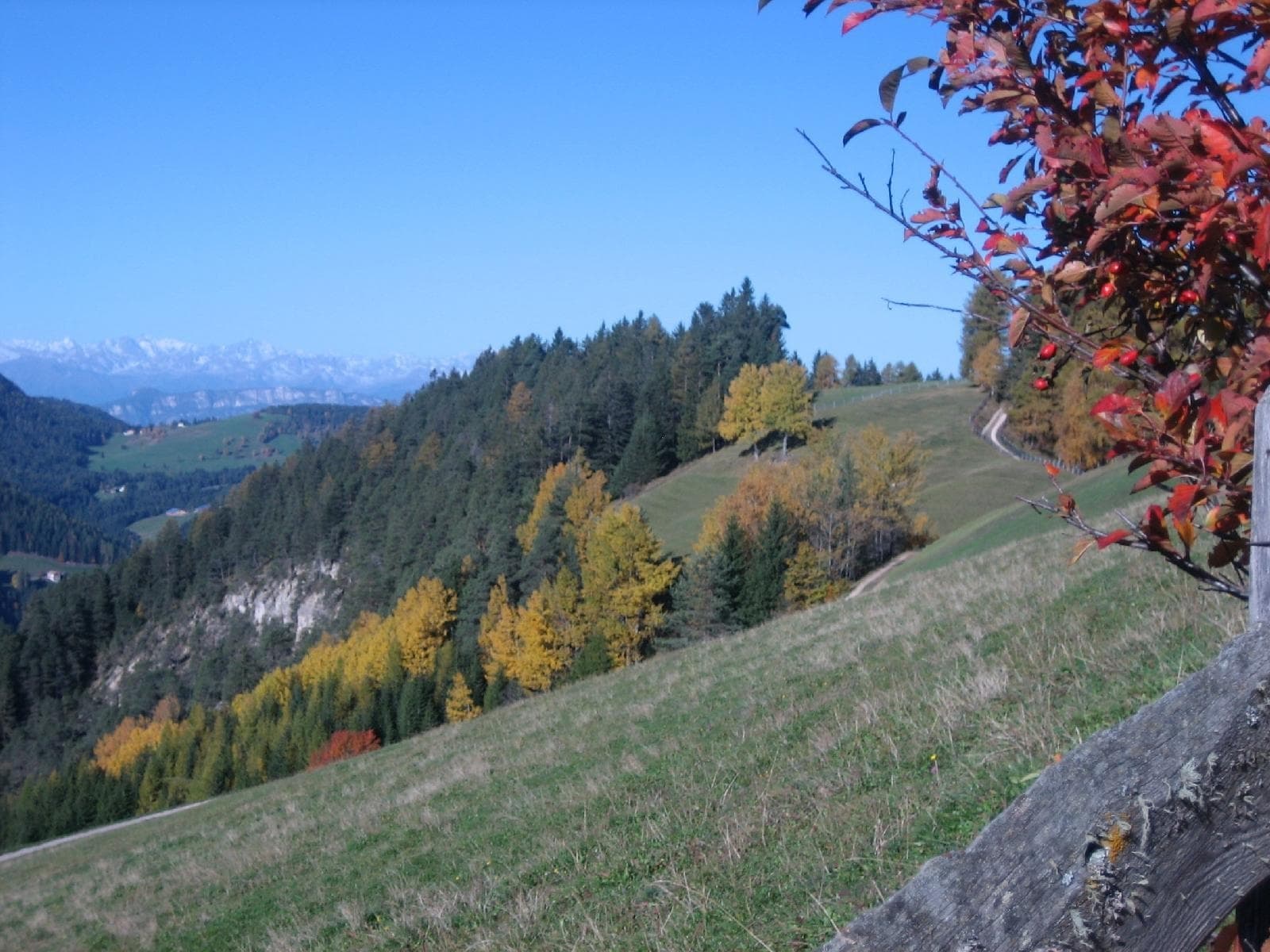 stuppner Stuppnerhof Südtirol Bauernhof in Obereggen im Eggental (9) stuppner Stuppnerhof Südtirol Bauernhof in Obereggen im Eggental (9)