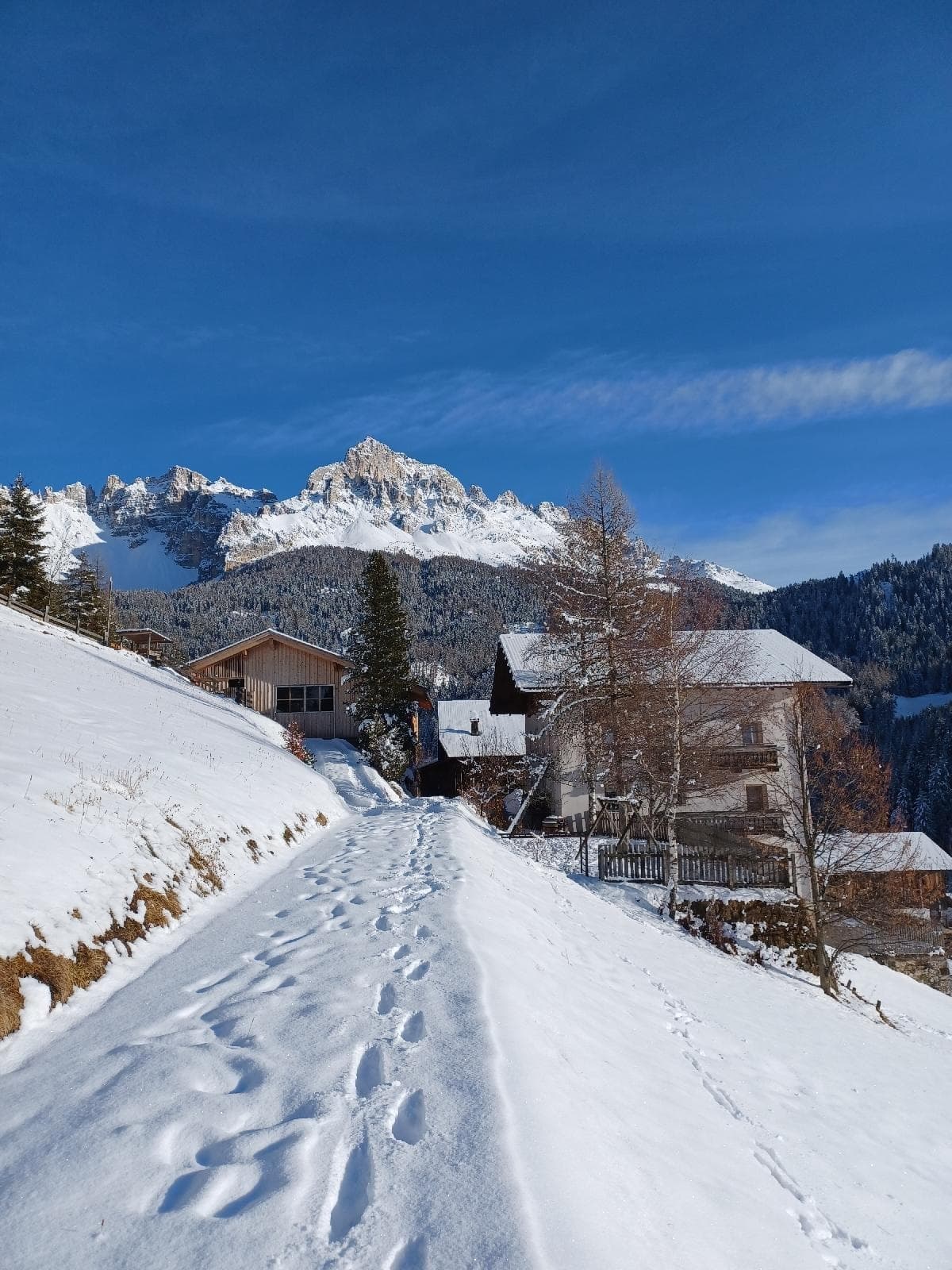 stuppner Stuppnerhof Südtirol Bauernhof in Obereggen im Eggental (91) stuppner Stuppnerhof Südtirol Bauernhof in Obereggen im Eggental (91)