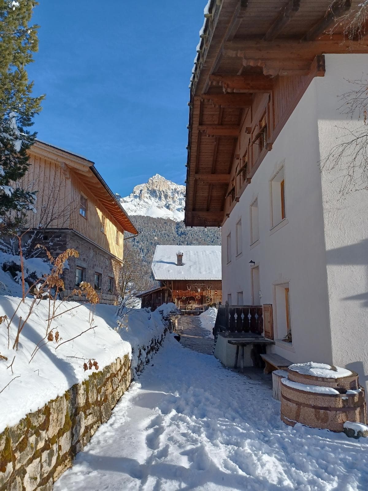 stuppner Stuppnerhof Südtirol Bauernhof in Obereggen im Eggental (92) stuppner Stuppnerhof Südtirol Bauernhof in Obereggen im Eggental (92)
